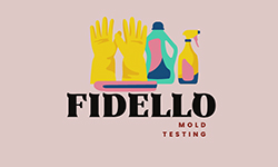 Fidello Mold Remediation - Mold Services